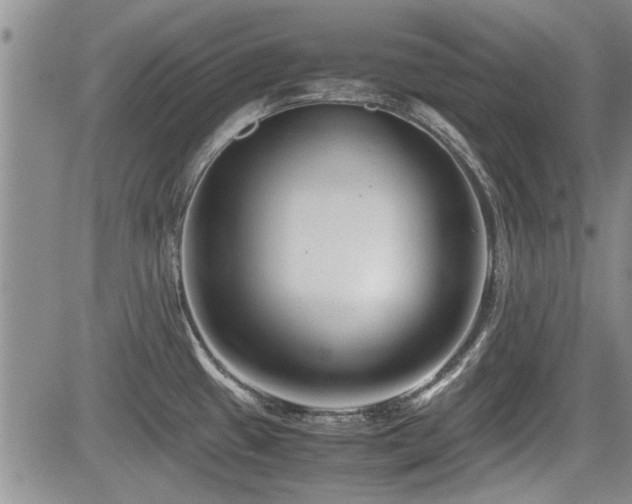 X0000085791433200703161112