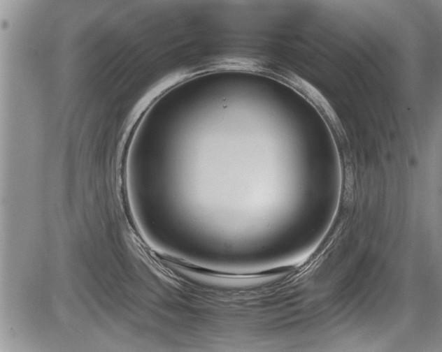 X0000085791435200703161112