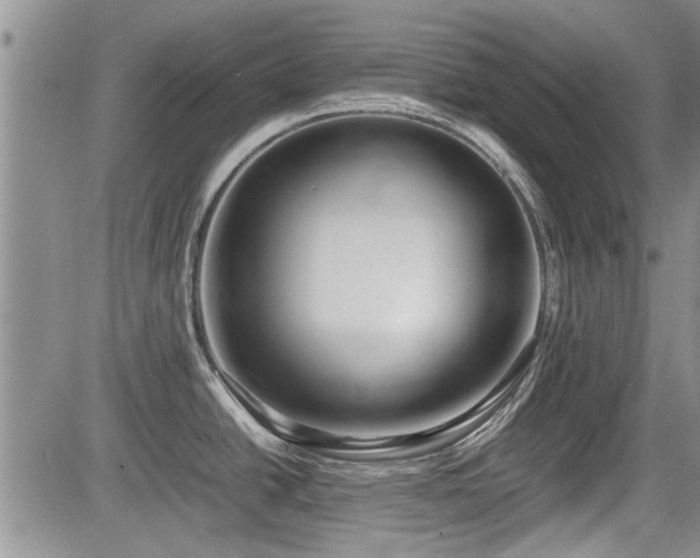 X0000085791438200703161112