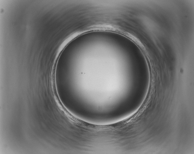 X0000085791440200703161112
