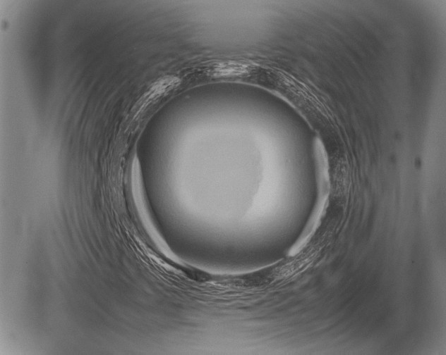 X0000085791441200703161111