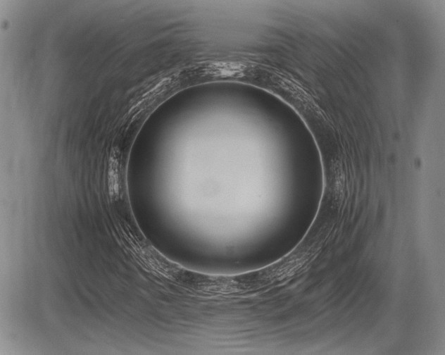 X0000085791442200703161111