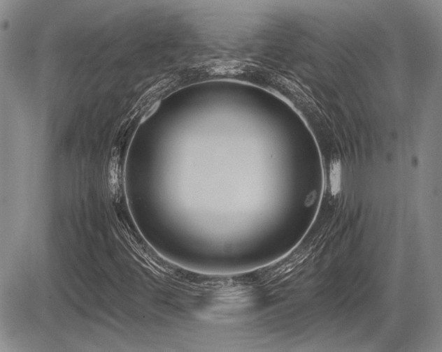X0000085791444200703161111