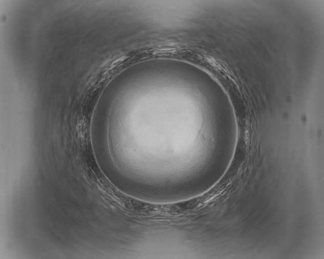 X0000085791445200703161111