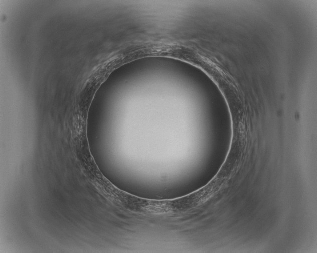 X0000085791447200703161111