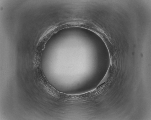 X0000085791448200703161111
