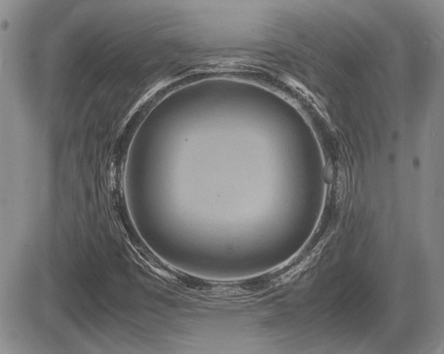 X0000085791449200703161111