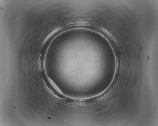 X0000085791450200703161111