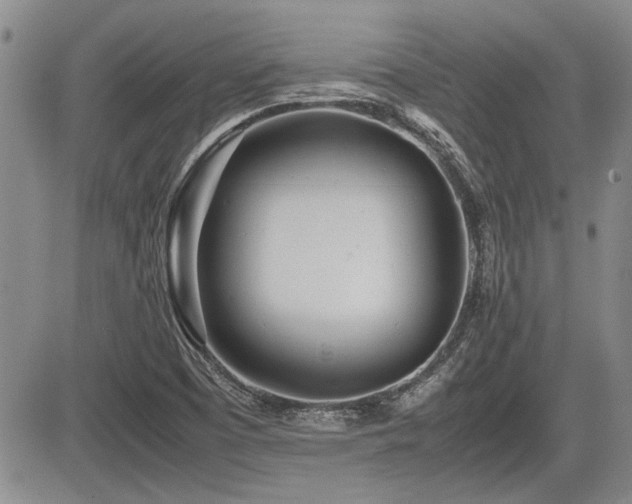 X0000085791457200703161111