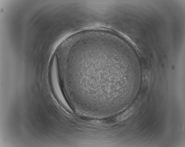 X0000085791463200703161111