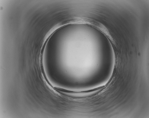 X0000085791484200703161110