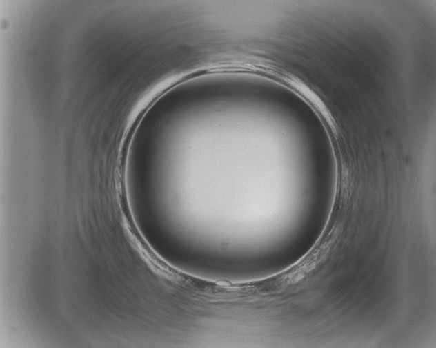 X0000085791485200703161110