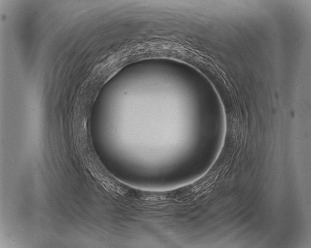 X0000085791489200703161110