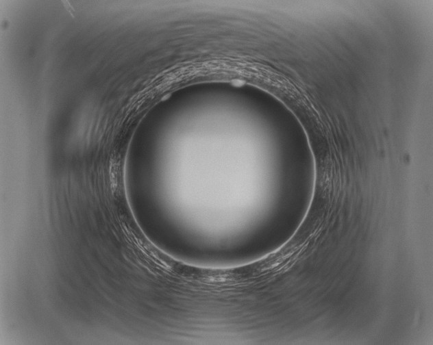 X0000085791490200703161110