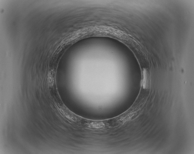 X0000085791491200703161110