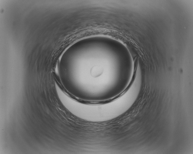 X0000085791492200703161110