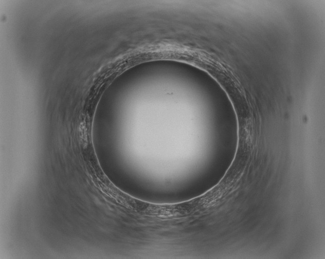 X0000085791493200703161110