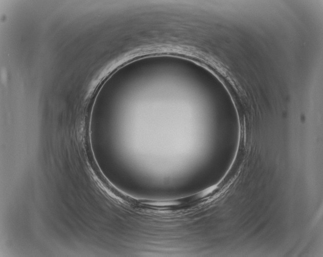 X0000085791500200703161110