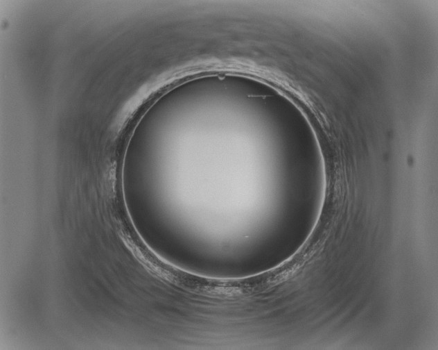 X0000085791503200703161110