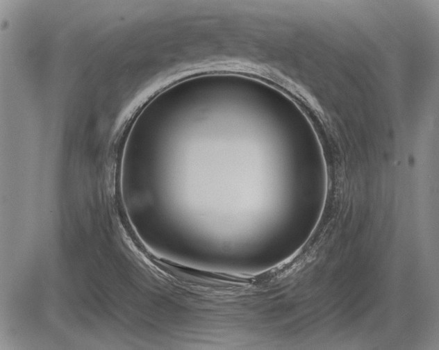 X0000085791504200703161110