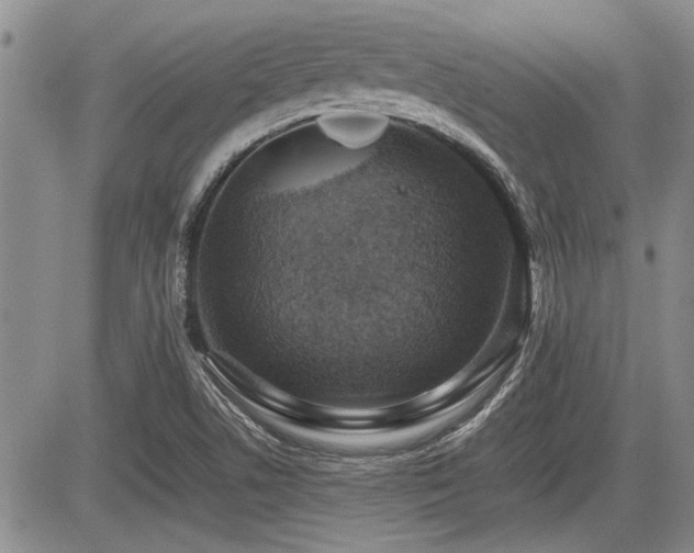 X0000085791506200703161110