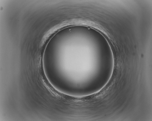 X0000085791507200703161110