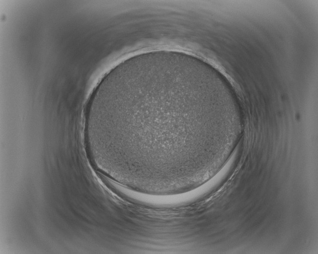 X0000085791508200703161110