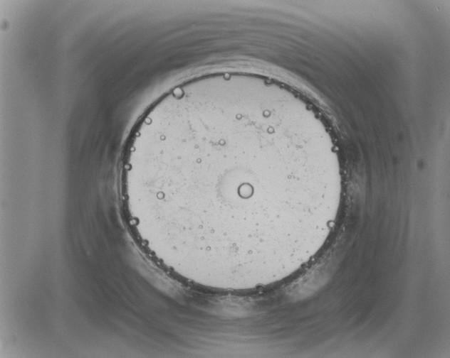 X0000085791514200703161110