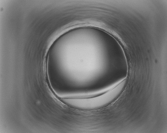 X0000085791516200703161110