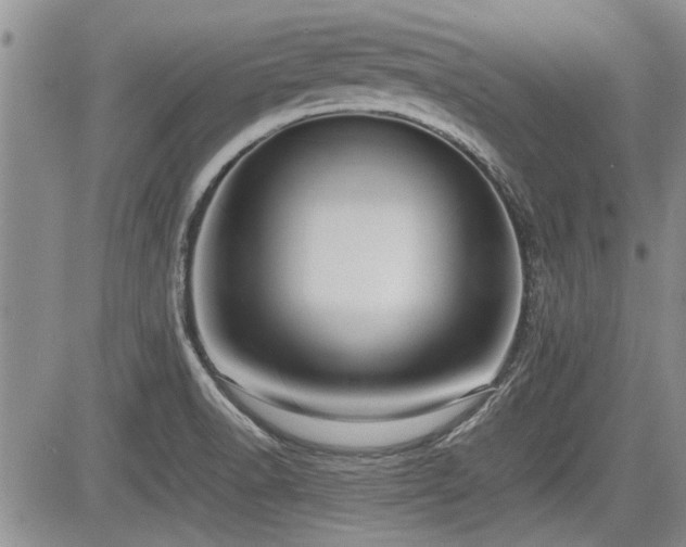 X0000085791518200703161110
