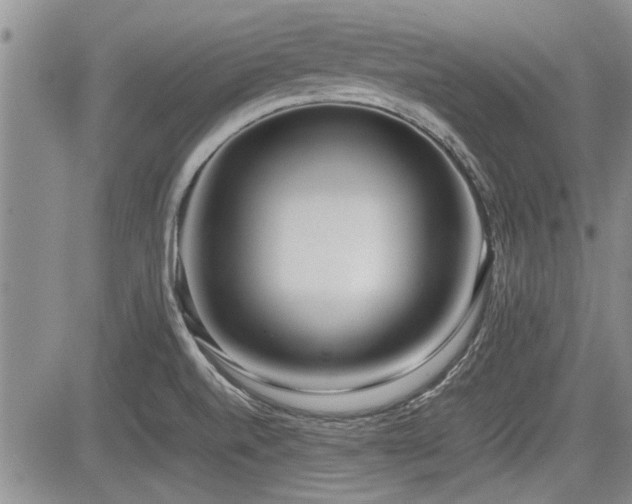 X0000085791520200703161110
