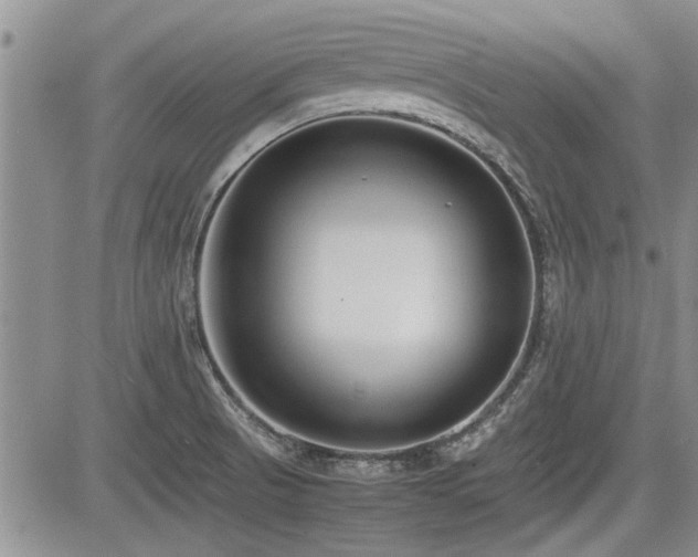 X0000085791521200703161110