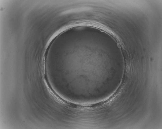 X0000085791522200703161110