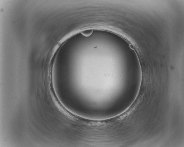 X0000085791526200703161110