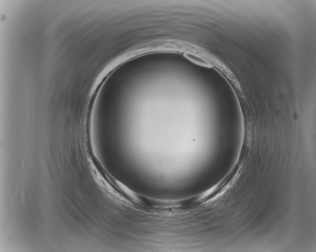 X0000085791530200703161110