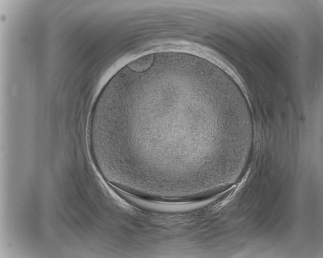 X0000085791533200703161110