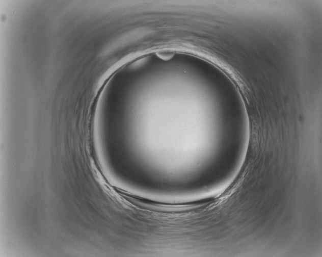 X0000085791534200703161110