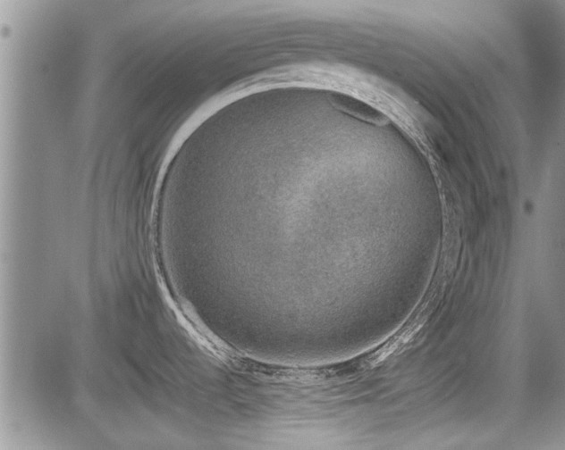 X0000085791536200703161110