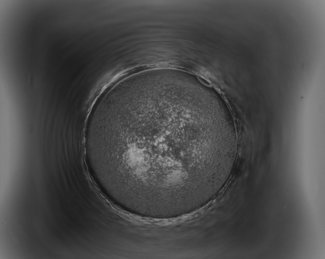 X0000085790002200703231318