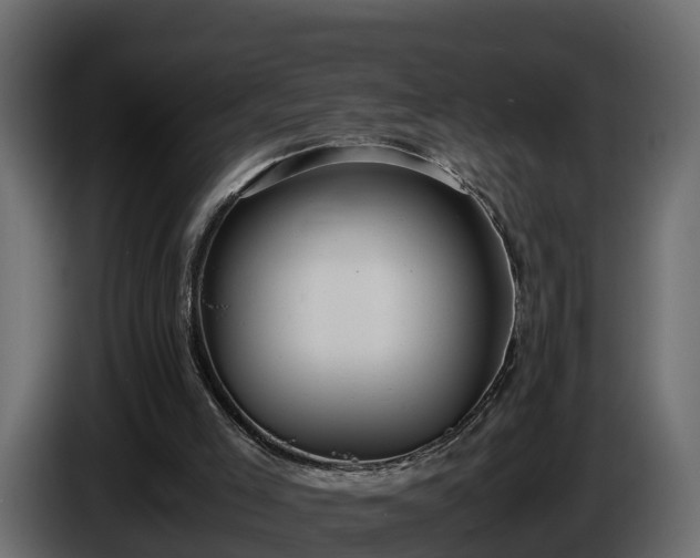 X0000085790005200703231318