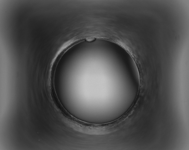 X0000085790008200703231318