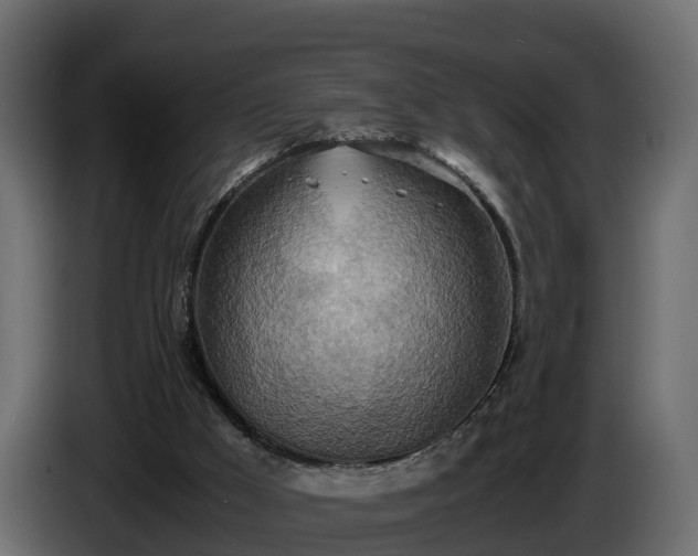 X0000085790009200703231318