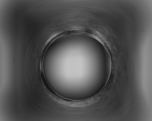 X0000085790011200703231318