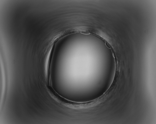X0000085790013200703231318