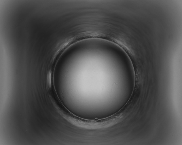 X0000085790014200703231318