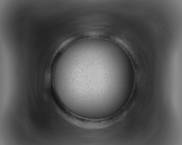 X0000085790016200703231318