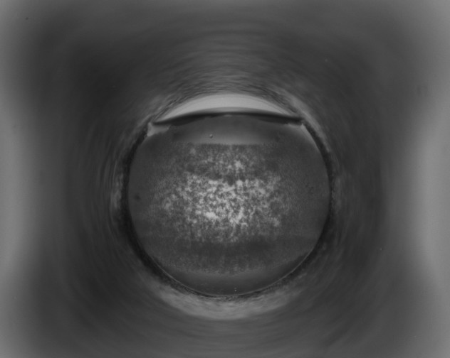 X0000085790018200703231318