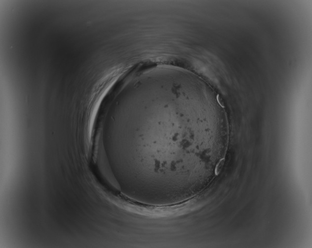 X0000085790019200703231318