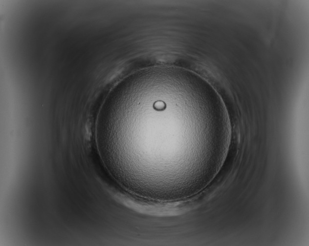 X0000085790032200703231318