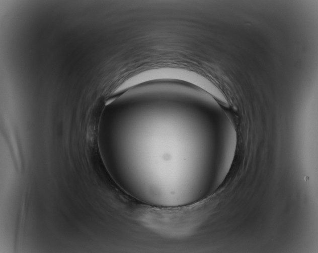 X0000085790033200703231317